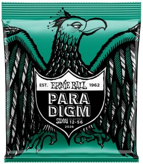 Ernie Ball Paradigm Not Even Slinky