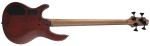 Cort B4 Element OPN