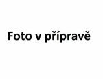 BOSCH GSR 12V-15 / Aku Vrtací šroubovák / 12V / 2x2.0Ah / 10mm sklíčidlo / 1300 ot-min / 30 Nm (060186810F)