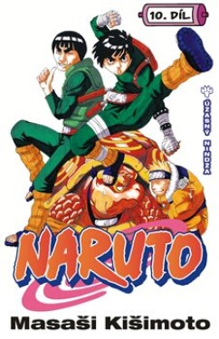 Naruto 10: Úžasný nindža Masaši Kišimoto