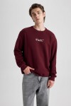 DEFACTO Regular Fit Crew Neck Sweatshirt