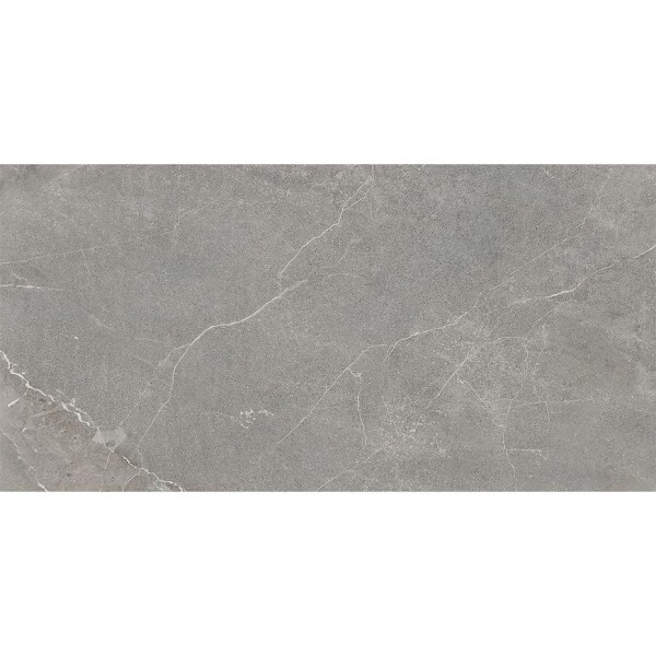 Dlažba Wermex Light Grey 59.8/119.8