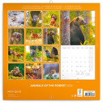 Poznámkový kalendář Zvířátka lesa 2025, 30 30 cm