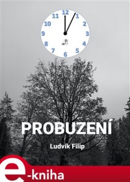 Probuzení - Ludvík Filip e-kniha