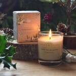 English Soap Company Under The Mistletoe 170 g