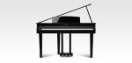 Kawai DG30
