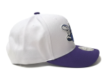 Mitchell & Ness Pánská kšiltovka Charlotte Hornets NBA Team 2 Tone 2.0 Pro Snapback HWC