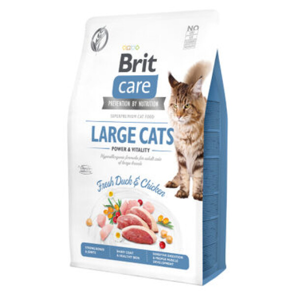 Brit Care Cat GF Large cats Power&Vitality