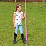 Plastový sloupek pro elektrický ohradník, délka 156 cm, 11 oček, růžový
