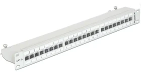 Delock 19” Patch Panel / 24 Port / Cat.6A / šedá (43319)