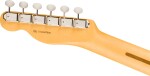 Fender American Professional Classic Telecaster RW Faded Dakota Red