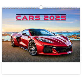 Nástěnný kalendář 2025 Cars