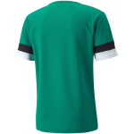 Pánský dres teamRise Jersey M 704932 05 - Puma M