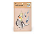 Nažehlovačka M 081 - Korela chocholatá