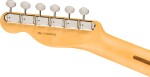 Fender American Professional Classic Telecaster RW 3TS