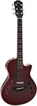 Taylor T5z Pro Grapevine