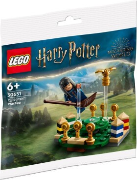 LEGO® Harry Potter™ 30651 Famfrpálový trénink