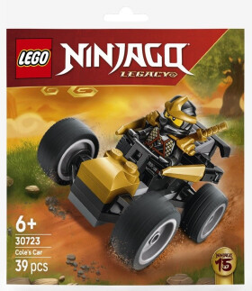 LEGO® Recruitment bags 30723 Cole a jeho nindžovské auto