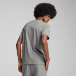 Puma Ess Small No.1 Logo Tee M 682534 03 pánské L