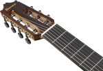 Ibanez GA3007CE NT