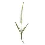 Bloomingville Umělá květina Foxtail White 73 cm, bílá barva, plast