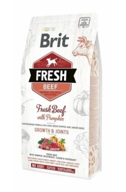 Brit Fresh Beef Pumpkin Puppy Large