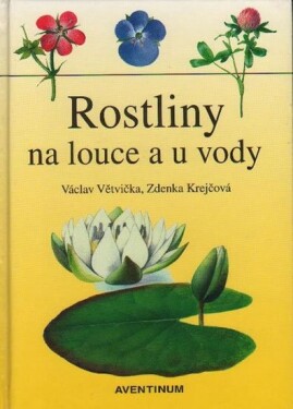 Rostliny na louce vody