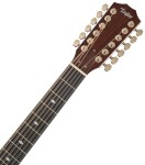 Taylor Legacy 855e