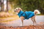 Aero zimní bunda pro psa s postrojem Barva: Modrá, Délka zad (cm): 23, Obvod hrudníku: 34 - 38 cm
