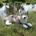 Velký plyšový pes husky ležící 60 cm, ECO-FRIENDLY