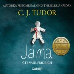 Jáma - audioknihovna - C. J. Tudor