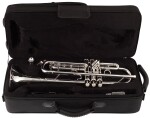 Bacio Instruments BTR-100S