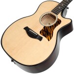 Taylor Builder's Edition 514ce Natural Next Generation