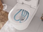 HANSGROHE - EluPura S Závěsné WC se sedátkem SoftClose, AquaFall, SmartClean, bílá 61119450