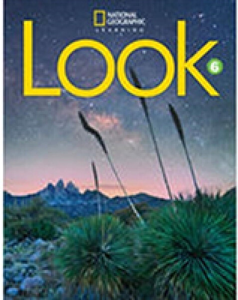 Look Level 6 BrE Workbook - Mary Charrington