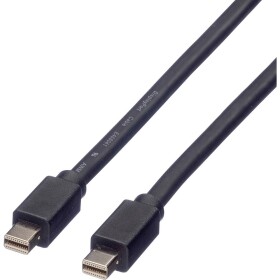 Roline DisplayPort kabel Mini DisplayPort konektory, Mini DisplayPort konektory 2.00 m černá 11.04.5640 stíněný Kabel DisplayPort