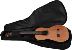 Ortega R19G