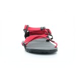 Xero shoes Z-trail Youth Charcoal/Red Pepper dětské