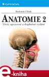 Anatomie