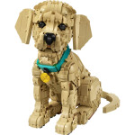 LEGO LEGO® Icons 11384 Štěně zlatého retrívra
