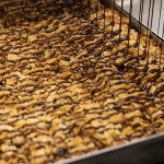 Šufan Kokosová hnízda s čokoládou 170 g