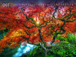 Nástěnný kalendář 2027 Graspo Nature