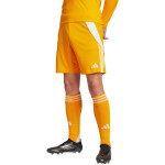 Šortky adidas Tiro 24 M JN4497 L