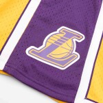 Mitchell & Ness Pánské kraťasy Los Angeles Lakers NBA 2009-10 Swingman Shorts Velikost: S