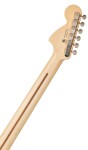 Fender American Performer Stratocaster HSS RW AUB