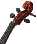 Gewa Allegro Violin Set 4/4