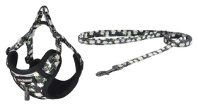 Dogness Venčicí set vodítko a postroj pro psy mix barev / Sada / Nylon, síťovina / Délka vodítka 1,5 m (DOG SET DAISY)