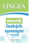 Slovník českých synonym antonym