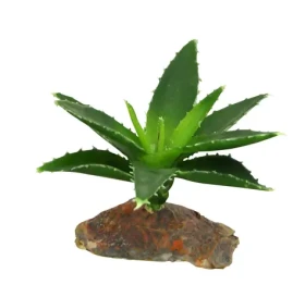 Lucky Reptile-Sukulenty Agave malé cca 10 cm (FP-64681)