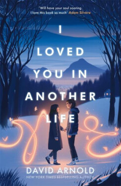 Loved You In Another Life David Arnold